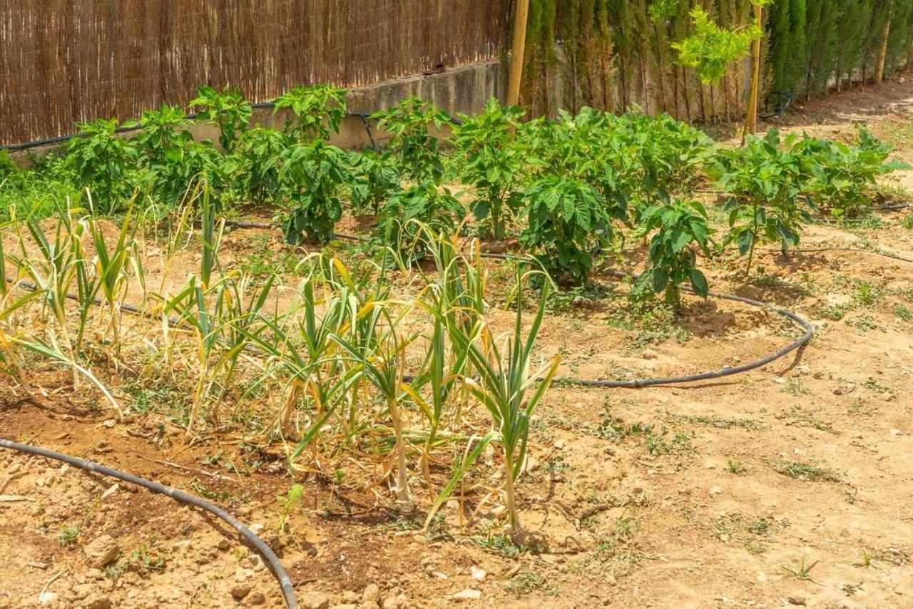 Casa Rural Don Lope El Canuelo  Bagian luar foto